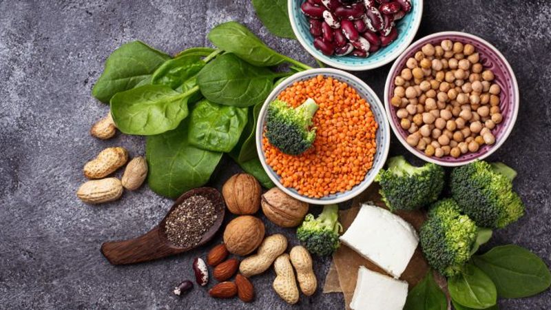 wellhealthorganic.com:vegetarian protein sources
